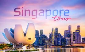 싱가포르 인기 투어&티켓 기획전