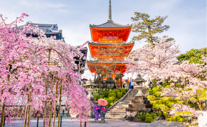 벚꽃이 그리는 봄 <br>일본 추천 호텔