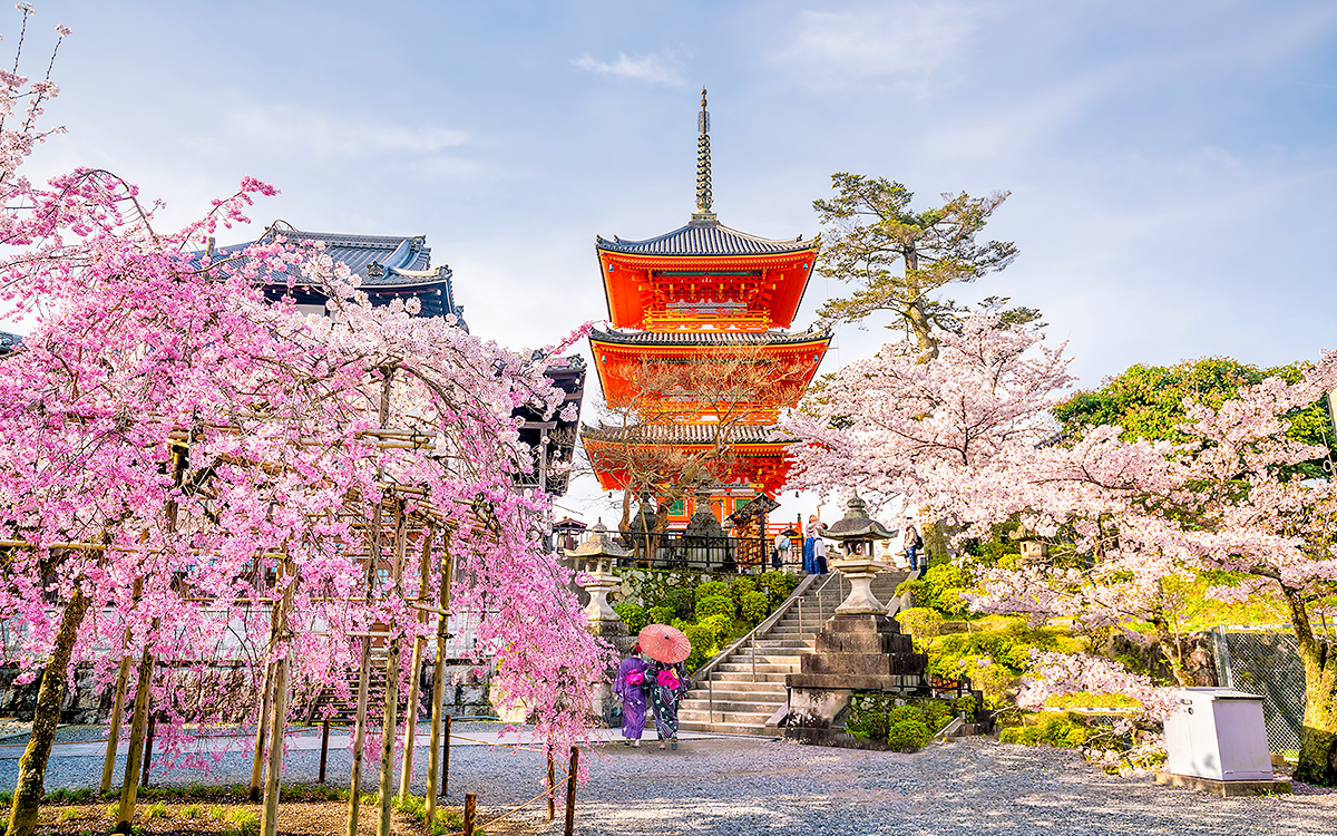 봄바람이 살랑이는 일본 
벚꽃 쿠폰 5천원